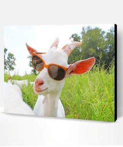 Goat Sunglasses Paint By Number