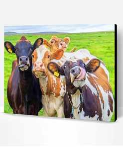 Happy Cows Paint By Number