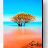 Kimberley Broome Australia Paint By Number