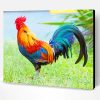 Kauai Chicken Paint By Number