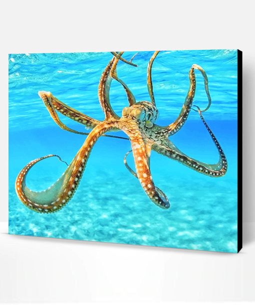 Octopus In The Ocean Paint By Number