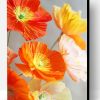 Orange And Yellow Poppies Flowers Paint By Number