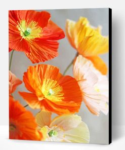 Orange And Yellow Poppies Flowers Paint By Number