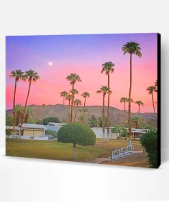 Palm Spring California Paint By Number