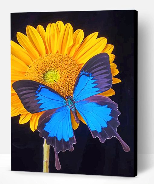 Blue Butterfly And A Sunflower Paint By Number