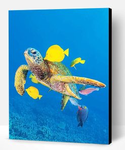 Sea Turtle And Fishes Paint By Number
