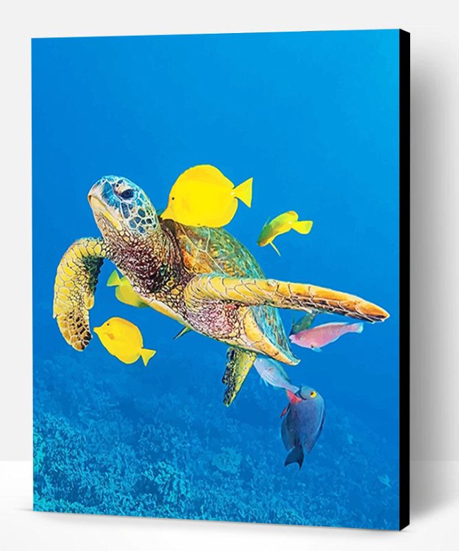 Sea Turtle And Fishes Paint By Number