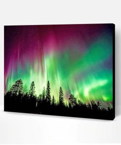 Aurora Borealis Trees Silhouette Paint By Number