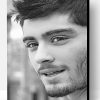 Black And White Zayn Malik Paint By Numbers