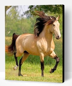 Blonde Horse Paint By Number