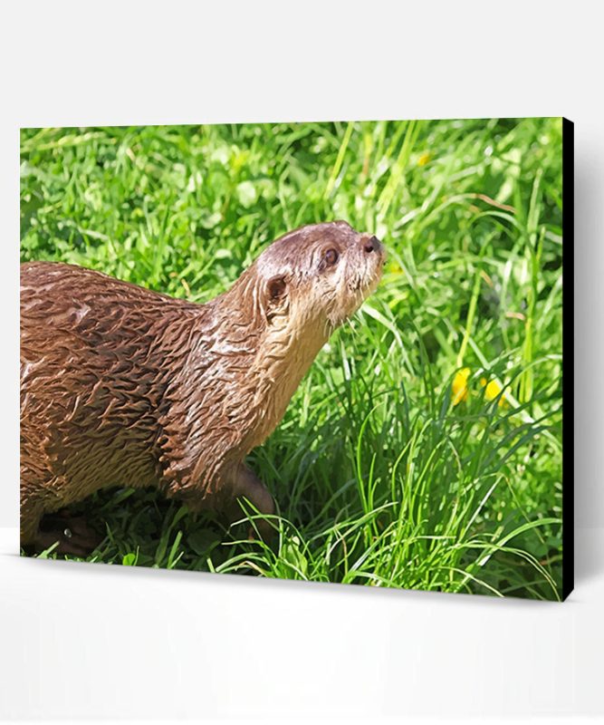 Brown Otter On Green Grass Paint By Number