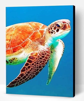 Brown Sea Turtle Paint By Number