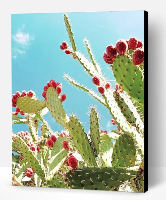 Cactus Barbary Fig Paint By Number