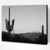 Cactus Moon Black And White Paint By Number