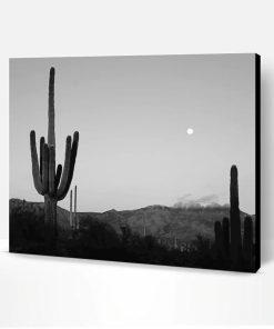 Cactus Moon Black And White Paint By Number