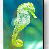 Cape Seahorse Paint By Number