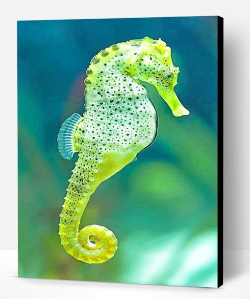 Cape Seahorse Paint By Number