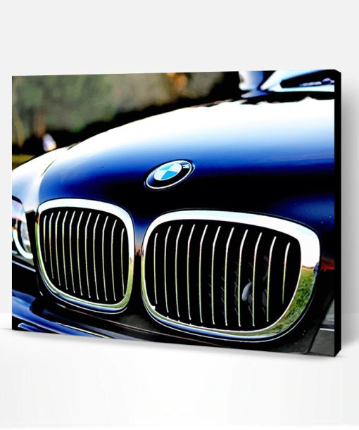 Chrome Bmw Grille Paint By Number