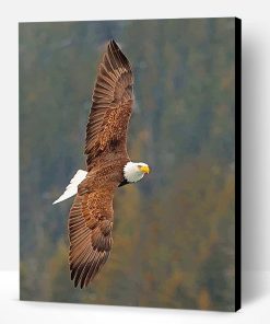 Cool Flying Eagle Paint By Number