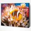 Coral Reef Fish Paint By Number