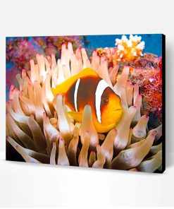 Coral Reef Fish Paint By Number