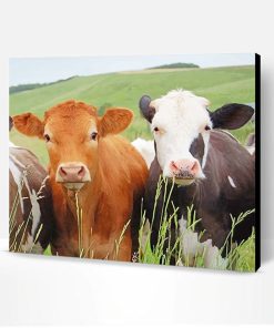 Cows Portrait Paint By Number