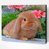 Cute Bunny Paint By Number