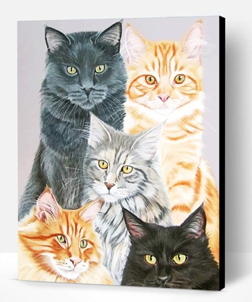 Cute Cats Paint By Number