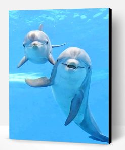 Cute Dolphins Paint By Number