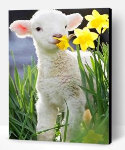 Cute Little Lamb Paint By Number