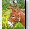 Donkey In Flowers Field Paint By Number