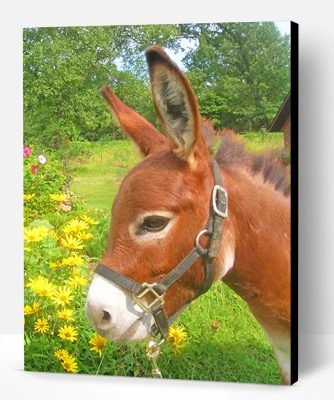 Donkey In Flowers Field Paint By Number