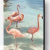 Flamingos Birds Paint By Number