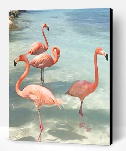 Flamingos Birds Paint By Number