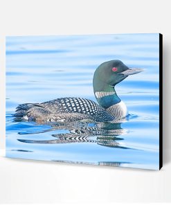 Loon Bird Paint By Number