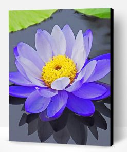 Purple Lotus Flower Paint By Number