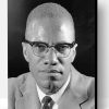 Malcolm-X Portrait Paint By Number