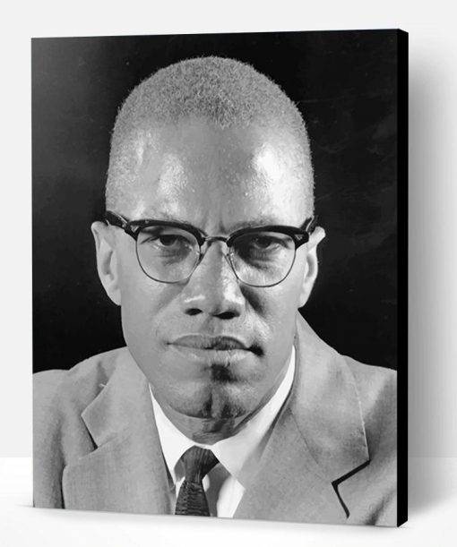 Malcolm-X Portrait Paint By Number