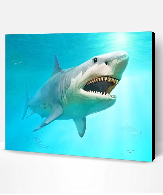 Megalodon Shark Paint By Number