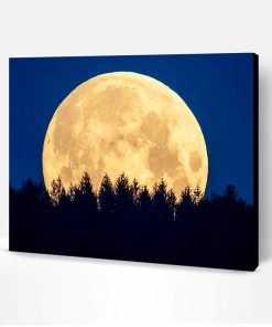Moon Night Trees Paint By Number