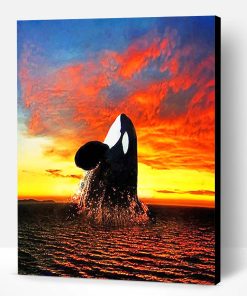 Orca Sunset Paint By Number