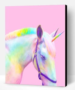 Rainbow Horse Paint By Number