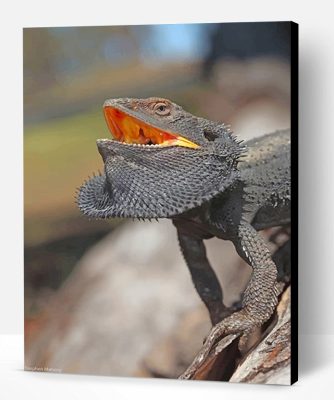 Scary Bearded Dragon Paint By Number