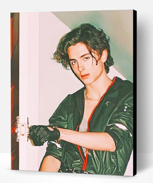 Timothee Chalamet Vintage Paint By Number