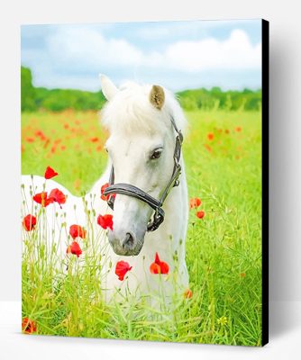 White Horse Flowers Field Paint By Number