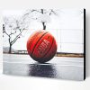 Basket Ball Paint By Number