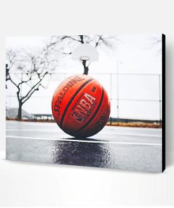 Basket Ball Paint By Number