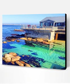 Bay Aquarium Monterey Paint By Number