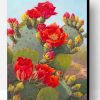 Beautiful Cactus Red Flowers Paint By Number