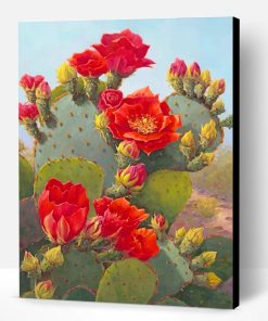 Beautiful Cactus Red Flowers Paint By Number
